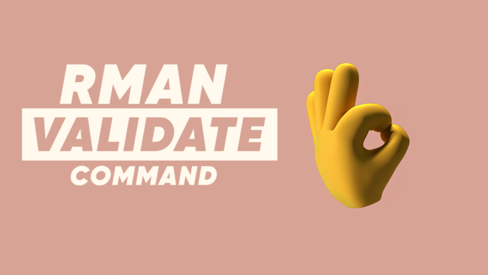 what is RMAN validate command