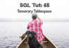 How To Create Temporary Tablespace In Oracle Database temporary tablespace by Manish Sharma