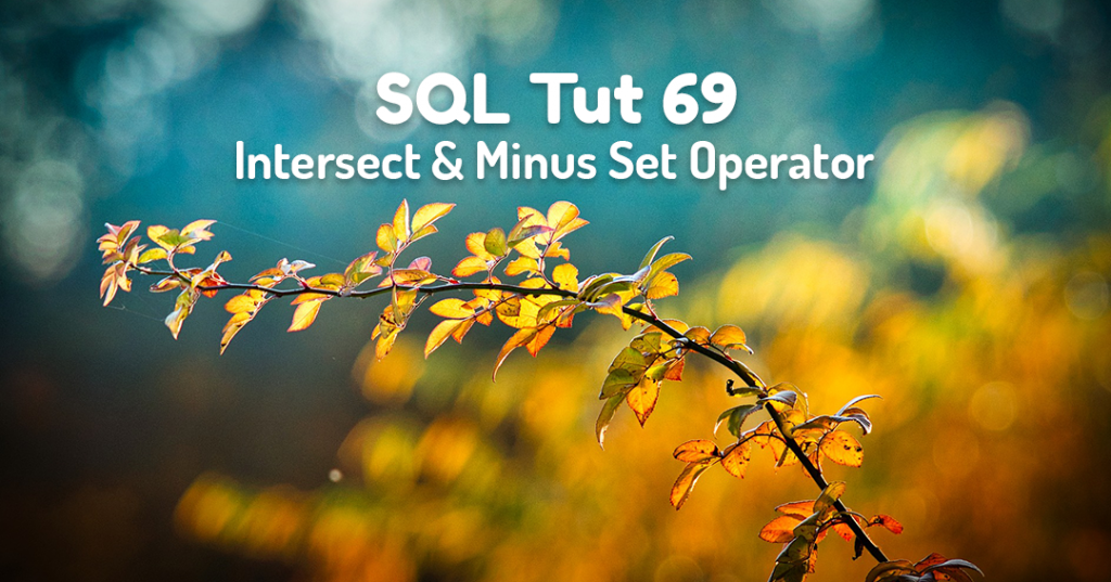 intersect and minus SQL set operator by Manish Sharma