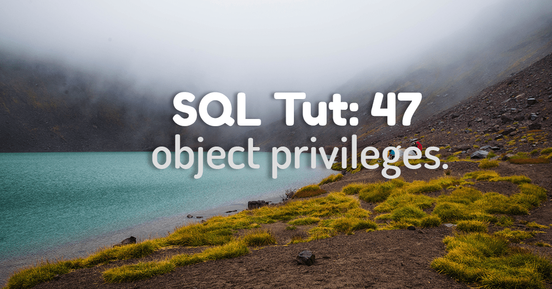 Object Privileges With Grant Option In Oracle Database RebellionRider