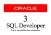How To Enable Line Numbers in SQL Developer Enable Line Numbers in SQL developer by manish sharma