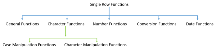 SQL Functions In Oracle Database - RebellionRider