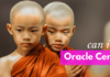 I’m Not A Computer Science Student Can I Do Oracle Database Certification? I am not a computer science student can I Do Oracle Database Certification by manish sharma