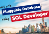 How to Connect With Pluggable Database Using SQL Developer In Oracle Database 18c