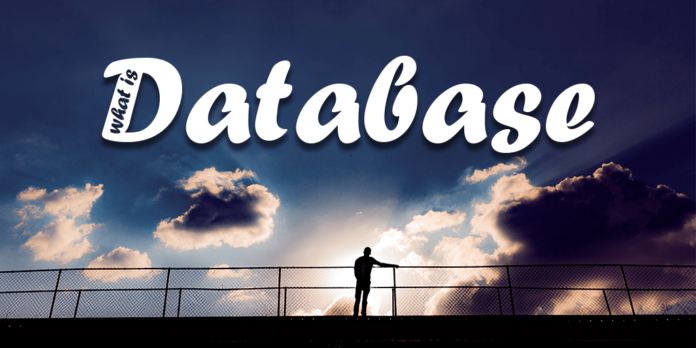 what is a database by manish sharma