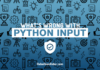 How To Quickly Fix The Python Input Function! User input function a programmer s guide