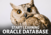 How To Learn Oracle DB How To Learn Oracle Database