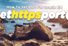 How To Set HTTPS Port For Oracle Enterprise Manager how to set https port using sethttps procedure for oracle enterprise manager