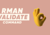 RMAN Validate Command what is RMAN validate command