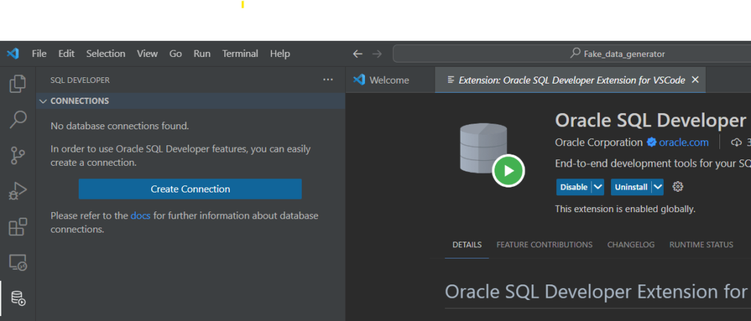Connect Oracle with visual Studio Code 2024 - RebellionRider